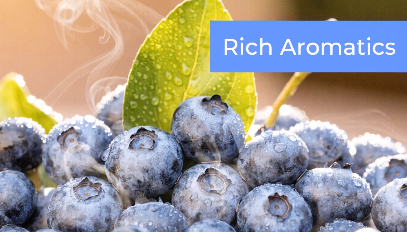 A close-up of fresh, dew-covered blueberries with steam rising, suggesting a rich aromatic blueberry strain profile.