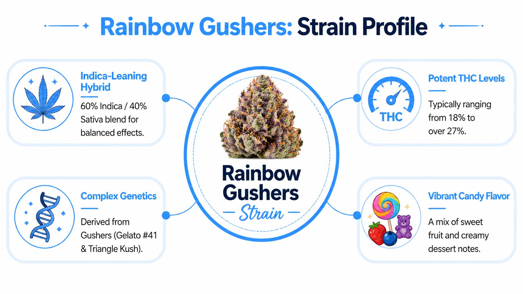A detailed strain profile infographic for Rainbow Gushers, highlighting genetics, THC levels, and flavor notes.