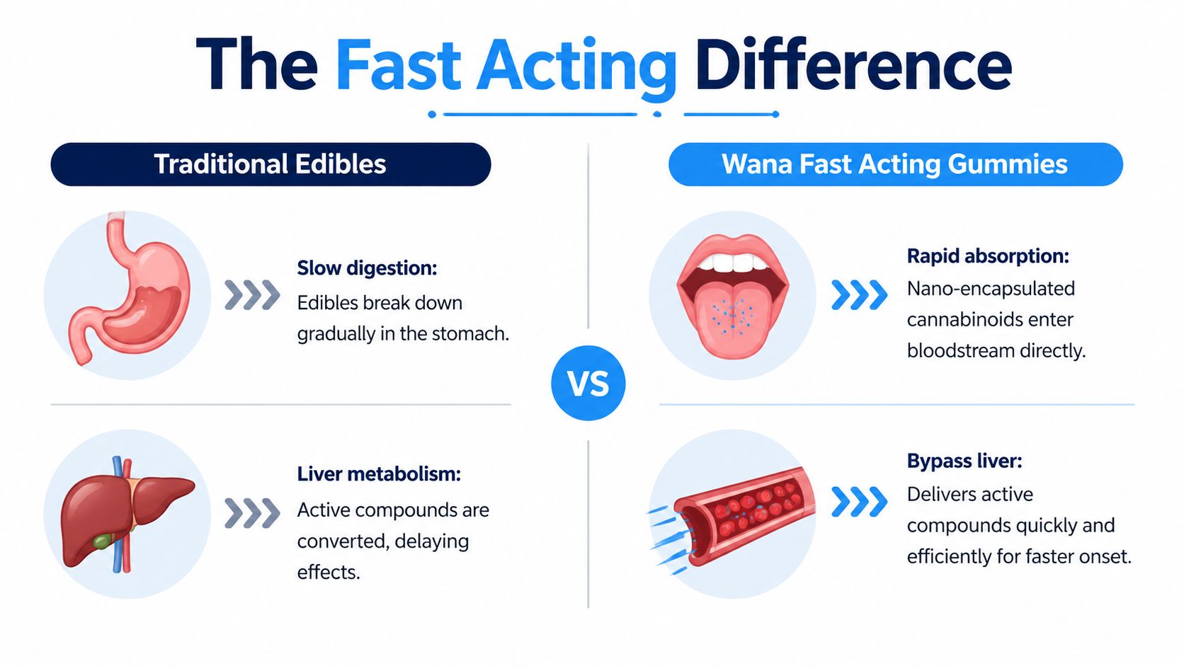 A comparison infographic showing how traditional edibles are processed by the stomach versus Wana fast acting gummies.