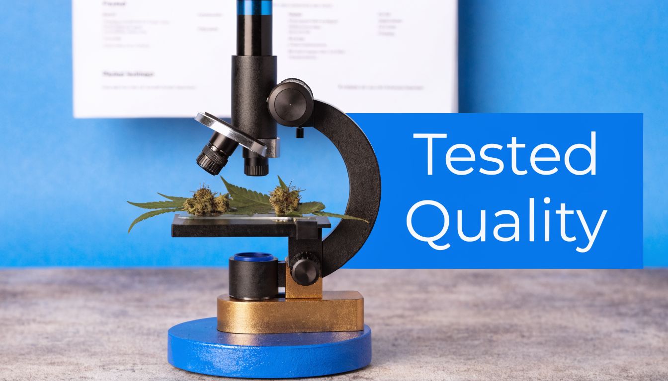 A microscope inspecting cannabis flower and leaves on a slide with a laboratory document in the background.