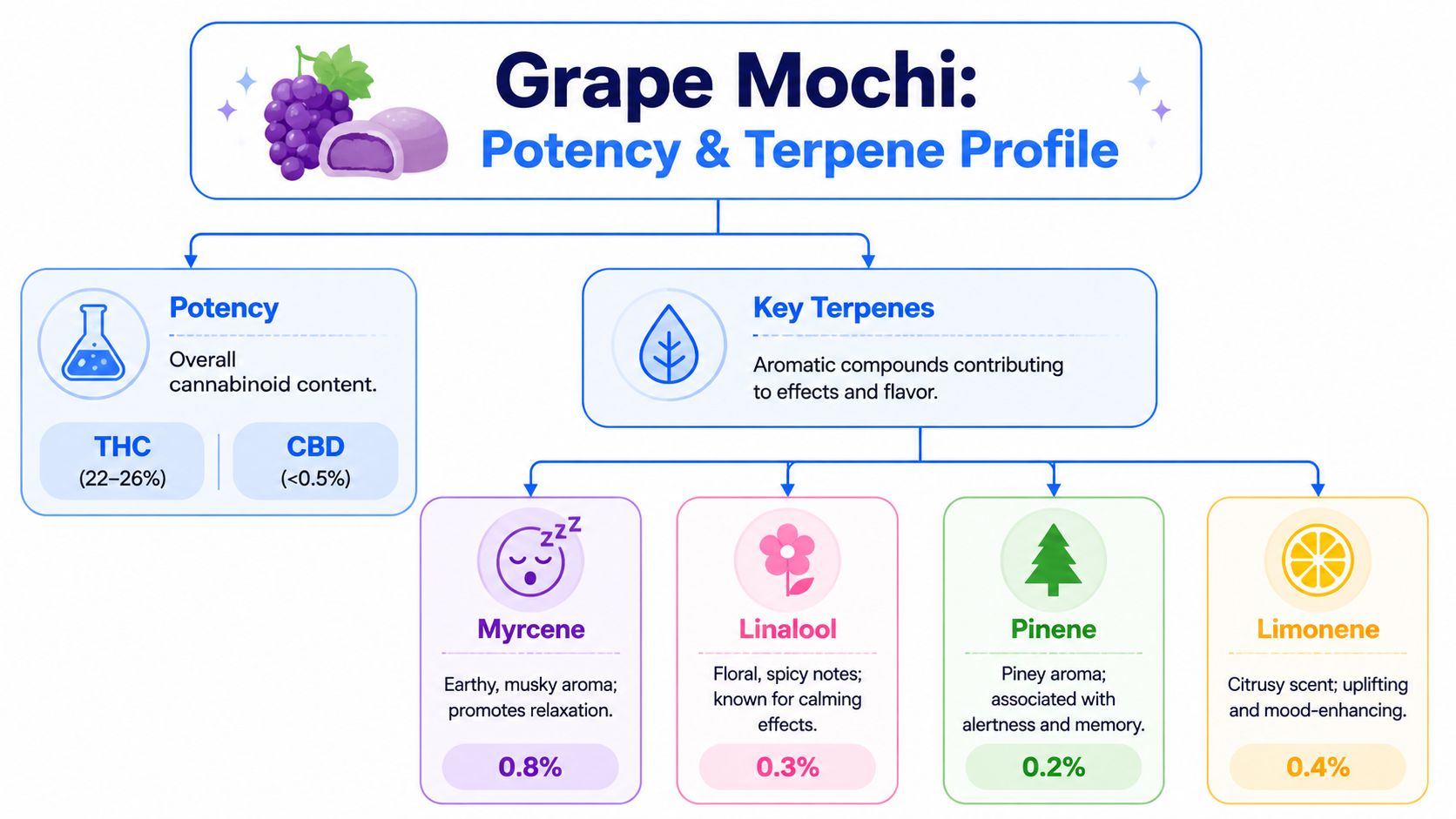 An infographic detailing the cannabinoid potency and terpene profile of the Grape Mochi cannabis strain.