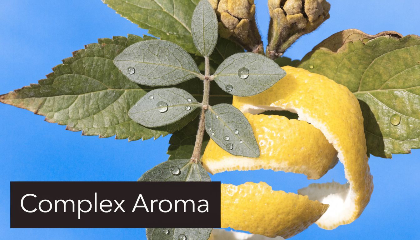 A fresh lemon peel curl nestled among lush green leaves against a vibrant solid blue background.