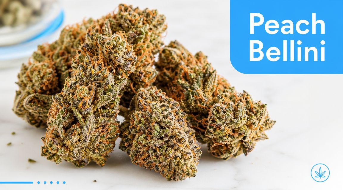 A close-up view of several dried Peach Bellini cannabis flower buds resting on a white marble surface.
