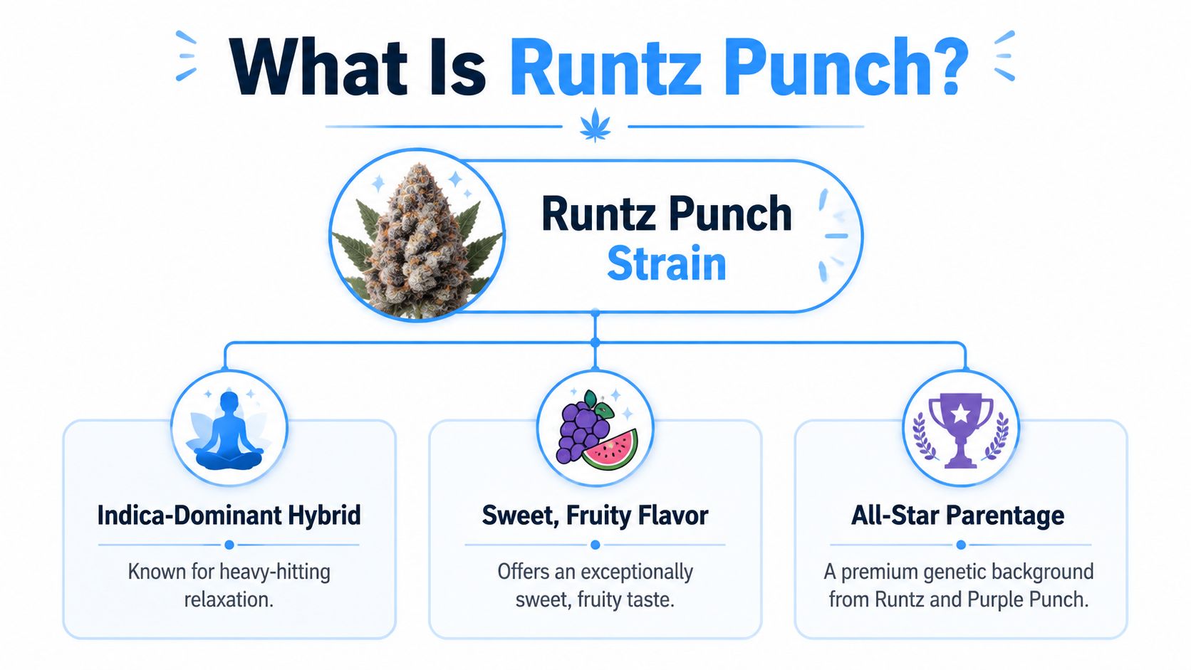 An infographic titled What Is Runtz Punch detailing it as an indica-dominant hybrid with fruity flavors.